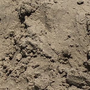 Meet your Posher, Melinda